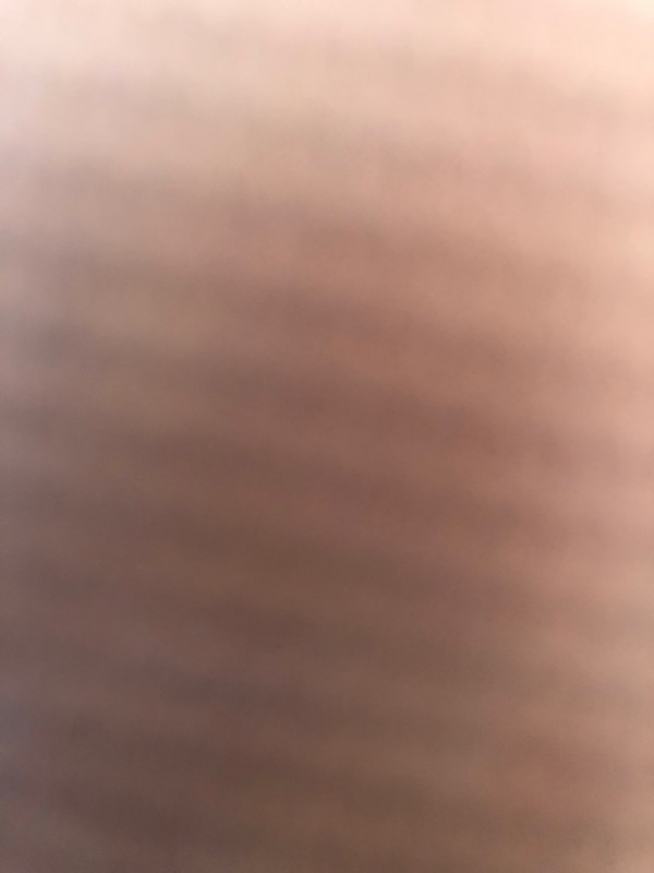 Trouver un guide touristique pour visiter les parcs naturels sur l’île de Porquerolles en août