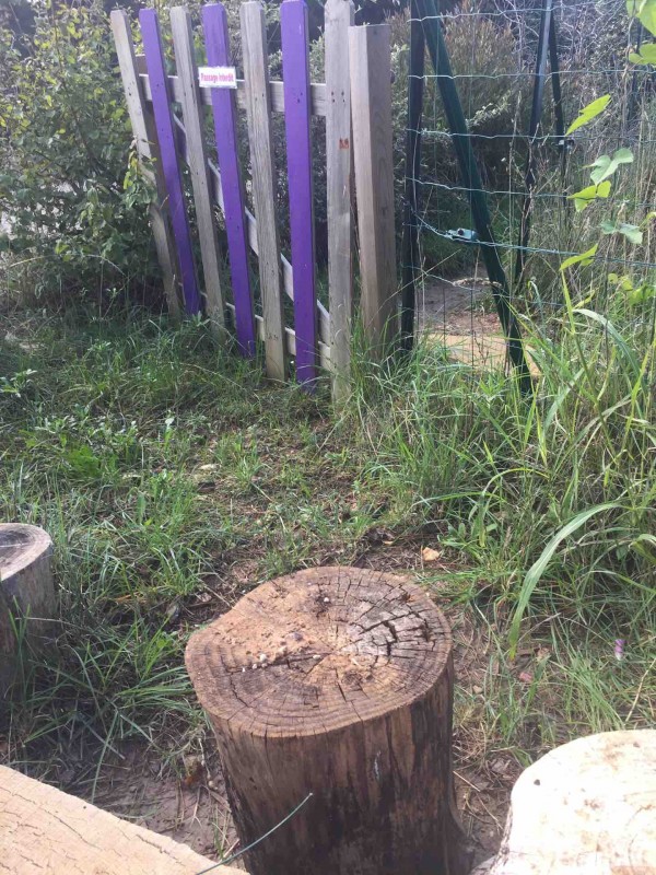 Où trouver des activités ludiques écologiques dans une ferme À Toulon